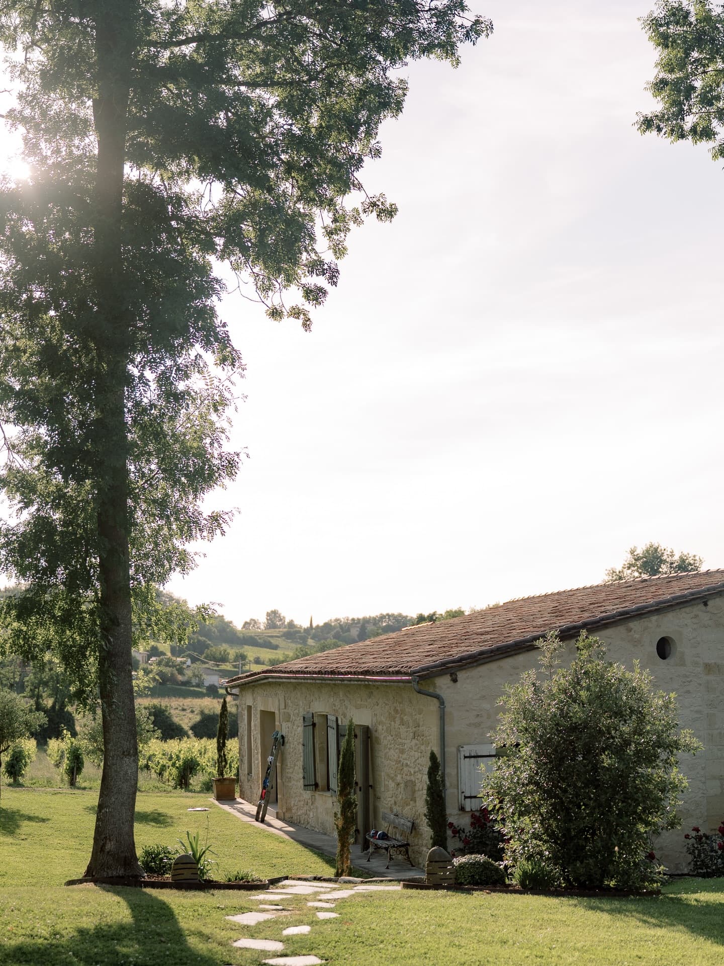 A stone outbuilding across the lawn beneath a tall tree, vineyards beyond