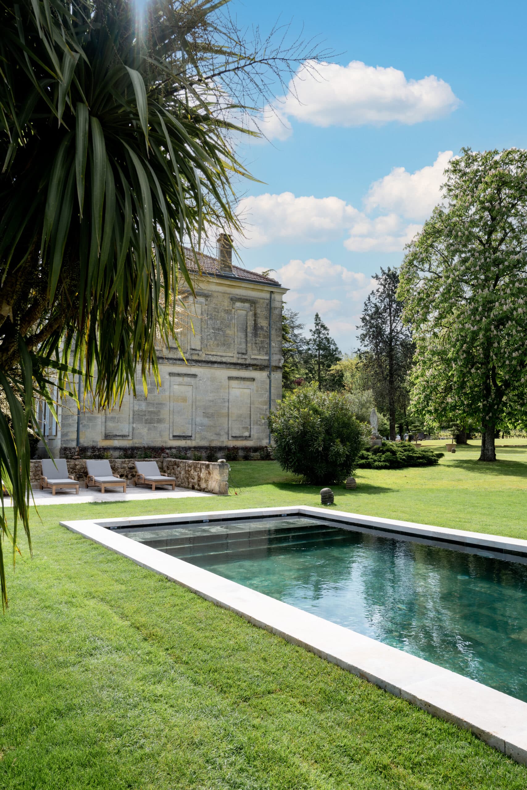 The swimming pool beside the château, framed by palms